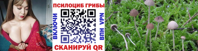Псилоцибиновые грибы мухоморы  Великие Луки 